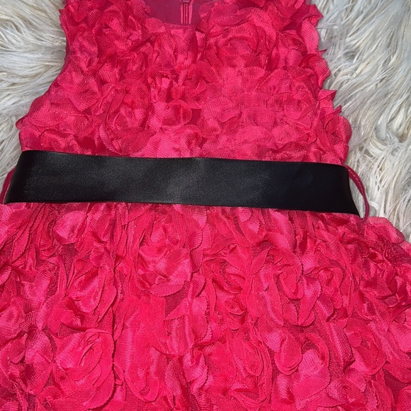 Hot pink girls dress size 2t - Picture 2 of 5